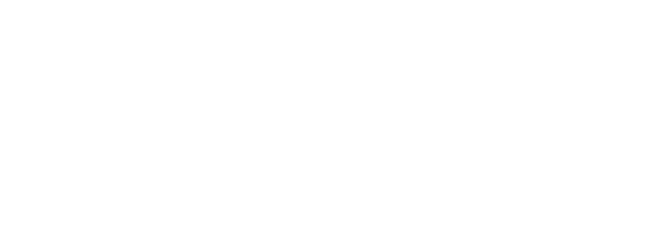 Startup Wise Guys